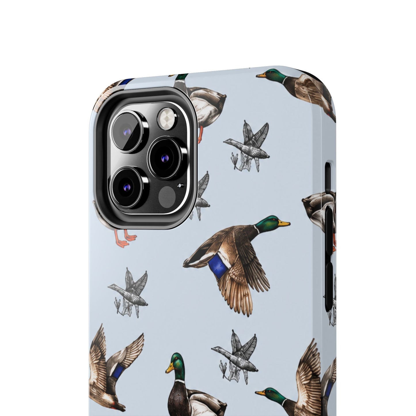 Mallards