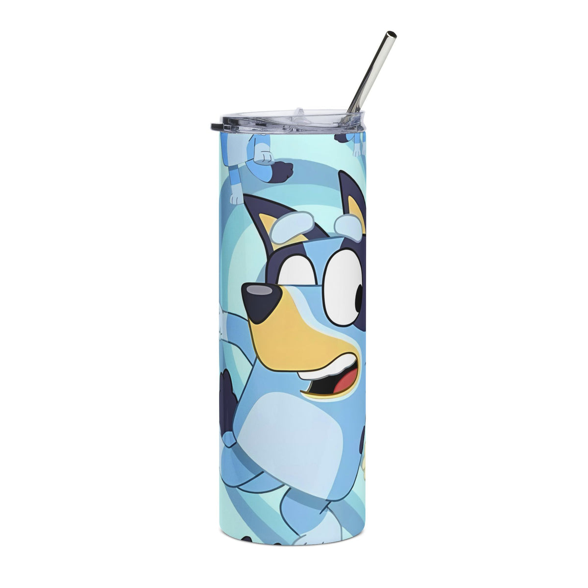 Bluey & Bingo: Double the Fun