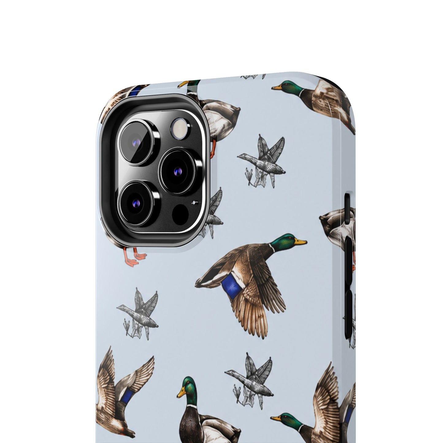 Mallards